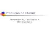 Produção de Etanol Fermentação, Destilação e Desidratação.