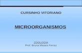 ZOOLOGIA Prof. Bruna Maiara Ferraz CURSINHO VITORIANO MICROORGANISMOS.