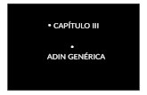 CAPÍTULO III ADIN GENÉRICA CAPÍTULO III ADIN GENÉRICA.