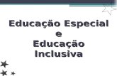 Educação Especial e Educação Inclusiva. TEMA A INCLUSÃO DO DEFICIENTE NO ENSINO REGULAR Raimundo Ribeiro da Silva Valdirene Maria de Souza Ramos.