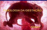FISIOLOGIA DA GESTAÇÃO Fisiologia II. GESTAÇÃO  Intervalo compreendido entre a fecundação do óvulo e a expulsão do(s) feto(s).