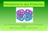 Metabolismo das Proteínas Curso de Especialização Nutrição Enteral e Parenteral - PUCRS Profas. Ana Maria Feoli e Sônia Alscher.