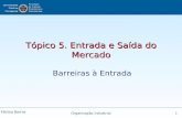Fátima Barros Organização Industrial 1 Tópico 5. Entrada e Saída do Mercado Barreiras à Entrada.