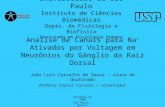 Análise de Canais para Na + Ativados por Voltagem em Neurônios do Gânglio da Raiz Dorsal João Luis Carvalho de Souza – aluno de doutorado Antônio Carlos.