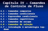 Capítulo IV – Comandos de Controle de Fluxo 4.1 – Comandos compostos 4.2 – Comandos condicionais 4.3 – Expressões condicionais 4.4 – Comandos repetitivos.