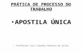 PRÁTICA DE PROCESSO DO TRABALHO APOSTILA ÚNICA Professor Luis Claudio Pereira da Silva.