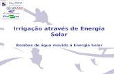 Irrigação através de Energia Solar Bombas de água movido á Energia Solar.