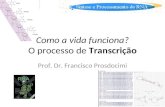 Como a vida funciona? O processo de Transcrição Prof. Dr. Francisco Prosdocimi.