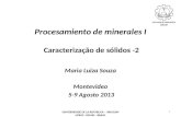 Procesamiento de minerales I Caracterização de sólidos -2 Maria Luiza Souza Montevideo 5-9 Agosto 2013 1 UNIVERSIDADE DE LA REPUBLICA – URUGUAY UFRGS -