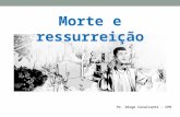 Morte e ressurreição Pr. Diogo Cavalcanti - CPB. Finalmente, retornando ao Brasil, que pretende fazer? Monteiro Lobato — Que pretendo fazer? [...] Contemplar.