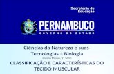 Ciências da Natureza e suas Tecnologias – Biologia Ensino Médio, 1ª Série CLASSIFICAÇÃO E CARACTERÍSTICAS DO TECIDO MUSCULAR.