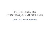 FISIOLOGIA DA CONTRAÇÃO MUSCULAR Prof. Ms. Alex Cantuária.