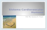 Sistema Cardiovascular Humano Prof. Ms. Gustavo B. Propst.
