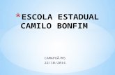 CAMAPUÃ/MS 22/10/2014. * NÚMERO DE ALUNOS MATRICULADOS NO ENSINO MÉDIO DA E.E.CAMILO BONFIM: 358.