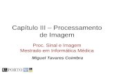 Capítulo III – Processamento de Imagem Proc. Sinal e Imagem Mestrado em Informática Médica Miguel Tavares Coimbra.