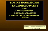 BOVINE SPONGIFORM ENCEPHALO PATHY BSE MAD COW DISEASE DOENÇA DA VACA LOUCA ENCEFALOPATIA ESPONGIFORME BOVINA BOVINE SPONGIFORM ENCEPHALO PATHY BSE MAD.