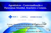 Agrotóxicos - Contextualização e Panoramas Mundial, Brasileiro e Goiano. Curso: Atuação das Equipes de Vigilância em Saúde nas ações relacionadas a Populações.