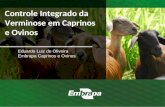 Eduardo Luiz de Oliveira Embrapa Caprinos e Ovinos Controle Integrado da Verminose em Caprinos e Ovinos.