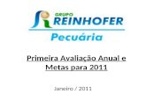 Primeira Avaliação Anual e Metas para 2011 Janeiro / 2011.