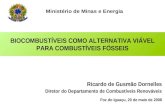 Ministério de Minas e Energia BIOCOMBUSTÍVEIS COMO ALTERNATIVA VIÁVEL PARA COMBUSTÍVEIS FÓSSEIS Ricardo de Gusmão Dornelles Diretor do Departamento de.
