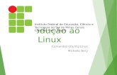 Introdução ao Linux Comandos Ubuntu/Linux Michelle Nery Instituto Federal de Educação, Ciência e Tecnologia do Sul de Minas Gerais Campus Pouso Alegre.