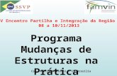 Programa Mudanças de Estruturas na Prática Csc. Marcia Moreschi – CM Brasília IV Encontro Partilha e Integração da Região V 08 a 10/11/2013.