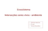 Ecossistema Interacções seres vivos - ambiente Ciências Naturais 8º ano Teresa Marcelino.