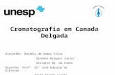 Cromatografia em Camada Delgada Discentes: Daniely de Godoy Silva Germano Blaquez Junior Gislaine Ap. da Cunha Docentes: Profº. Drº José Eduardo de Oliveira.