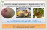 Monitoria e Maneio Integrado da mosca invasiva da fruta, Bactrocera invadens, em Moçambique Investigador principal: Domingos R. Cugala Faculdade de Agronomia.