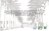 AVALIAÇÃO DA INCIDÊNCIA, MORTALIDADE E LETALIDADE POR DOENÇA CEREBROVASCULAR EM JOINVILLE, BRASIL: COMPARAÇÃO ENTRE O ANO DE 1995 E O PERÍODO DE 2005-6.