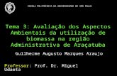 Tema 3: Avaliação dos Aspectos Ambientais da utilização de biomassa na região Administrativa de Araçatuba Guilherme Augusto Marques Araujo Professor: Prof.