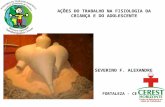 AÇÕES DO TRABALHO NA FISIOLOGIA DA CRIANÇA E DO ADOLESCENTE SEVERINO F. ALEXANDRE (LINO) FORTALEZA - CE- 2009.