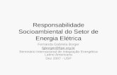 Responsabilidade Socioambiental do Setor de Energia Elétrica Fernanda Gabriela Borger fgborger@fipe.org.br Seminário Internacional de Integração Energética.