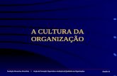A CULTURA DA ORGANIZAÇÃO Fundação Monsenhor Alves Brás * Acção de Formação: Supervisão e Avaliação da Qualidade nas Organizações Sessão : 08.