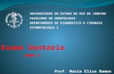 2009-2 UNIVERSIDADE DO ESTADO DO RIO DE JANEIRO FACULDADE DE ODONTOLOGIA DEPARTAMENTO DE DIAGNÓSTICO E CIRURGIA ESTOMATOLOGIA I Exame Dentário.