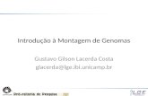 Introdução à Montagem de Genomas Gustavo Gilson Lacerda Costa glacerda@lge.ibi.unicamp.br.