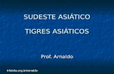 Trilobita.org.br/arnaldo SUDESTE ASIÁTICO TIGRES ASIÁTICOS Prof. Arnaldo.
