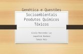 Genética e Questões Socioambientais Produtos Químicos Tóxicos Gisele Marcondes Luz Jaqueline Barduco Tamara Reis.