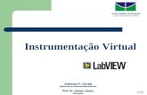 Instrumentação Virtual Anderson P. Correia Mestrando em Sistemas Mecatrônicos Prof. Dr. Carlos Llanos. Orientador Universidade de Brasília Campus Universitário.