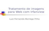 Tratamento de imagens para Web com Irfanview Luiz Fernando Borrego Filho.