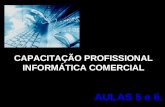 CAPACITAÇÃO PROFISSIONAL INFORMÁTICA COMERCIAL AULAS 5 e 6.