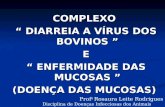 COMPLEXO “ DIARREIA A VÍRUS DOS BOVINOS ” E “ ENFERMIDADE DAS MUCOSAS ” (DOENÇA DAS MUCOSAS) Prof a Rosaura Leite Rodrigues Disciplina de Doenças Infecciosas.