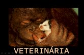 VETERINÁRIA O médico veterinário dá assistência clínica e cirúrgica a animais domésticos e silvestres, além de cuidar da saúde, da alimentação e da reprodução.