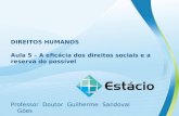 DIREITOS HUMANOS Professor Doutor Guilherme Sandoval Góes Aula 5 – A eficácia dos direitos sociais e a reserva do possível.
