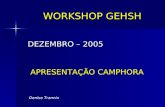 WORKSHOP GEHSH DEZEMBRO – 2005 APRESENTAÇÃO CAMPHORA APRESENTAÇÃO CAMPHORA Denise Trannin.