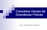 Prof. WAGNER SINDICI Conceitos Gerais de Grandezas Físicas.