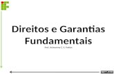 Direitos e Garantias Fundamentais Prof. Acimarney C. S. Freitas.