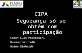 CIPA Segurança só se obtém com participação Edson Luis Pedrassani Herman Heinroth Waine Einhardt.