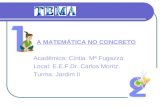 A MATEMÁTICA NO CONCRETO Acadêmica: Cíntia Mª Fugazza Local: E.E.F.Dr. Carlos Moritz. Turma: Jardim II.