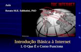 Introdução Básica à Internet I. O Que É e Como Funciona Aula Renato M.E. Sabbatini, PhD.